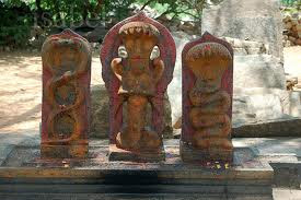 Sarpabali Pooja Snake Worship