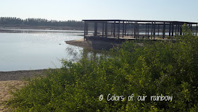 WASIT WETLAND CENTRE SHARJAH (UAE) - An amazing winter break trip for kids.@http://colorsofourrainbow.blogspot.ae/