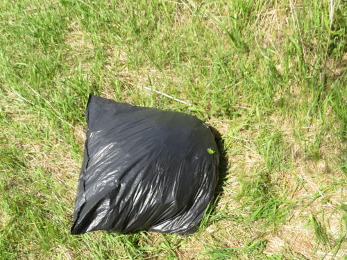 a trash bag of garlic mustard