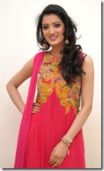 richa_panai_as_model_photo