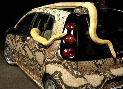 Snakeskin car (3) 2