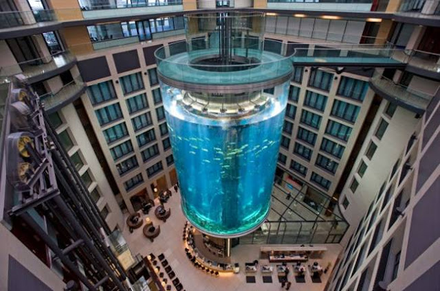 World’s Largest Cylindrical Aquarium