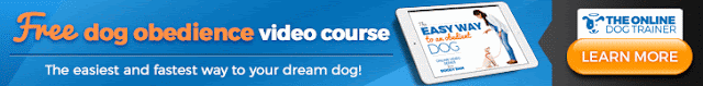 http://marchone.doggyd4n.hop.clickbank.net/?rd=easy-way
