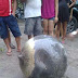 Esfera metálica de 30kg cai do céu e assusta pupulação no Maranhão; 'objeto alienígena'