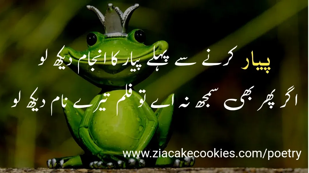 funny shayari in urdu