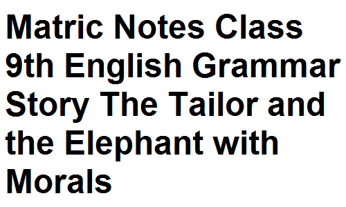 Matric Notes Class 9th English Grammar Story The Tailor and the Elephant with Morals