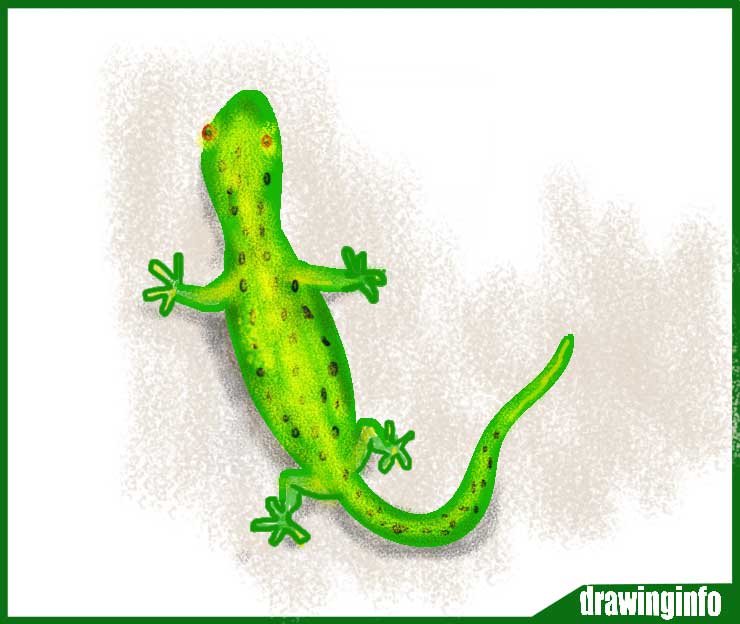 Lizard drawing easy with the best lizard drawing
