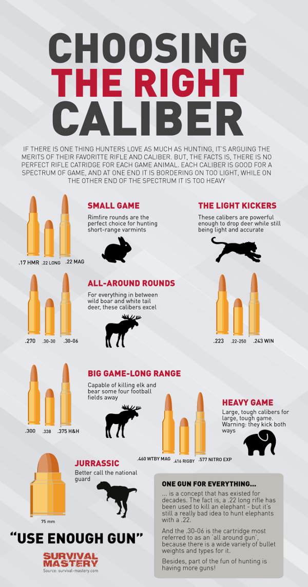 Infographic On How To Choose The Right Caliber