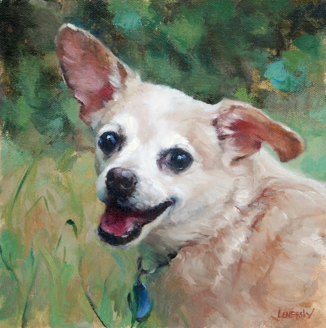 Oil painting of a Chihuahua, Private Commission, by Heather Lenefsky Art.  Chihuahua portrait.