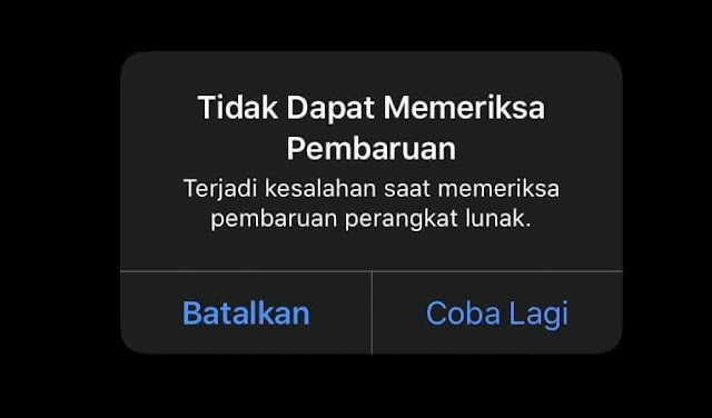 4 Penyebab dan Solusi Tidak Dapat Memeriksa Pembaruan di iPhone