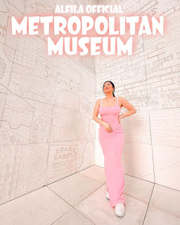 METROPOLITAN MUSEUM OF ART NEW YORK, Review, Admission Prices, Opening Hours, Locations and Activities [Latest]