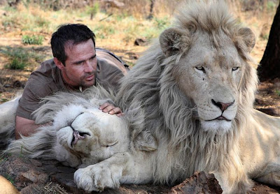 The Lion Whisperer -  Kevin Richardson Seen On www.coolpicturegallery.us