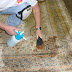  Carpet Cleaning Swindon