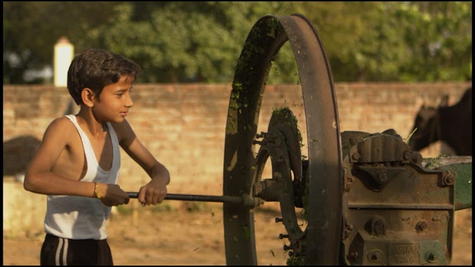 Italia Cinema: "Il Vegetariano"