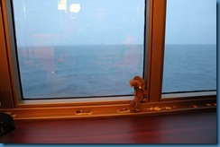 IMG_2693