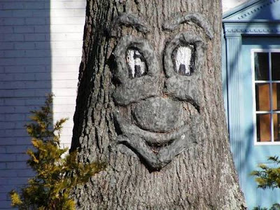 Great and Funny Trees