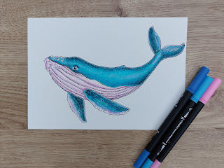 Colourful pink and blue whale illustrated with ink, Ohuhu waterbased art markers and coloured pencil