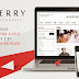Barberry Ecommerce Wordpress Template Free Download