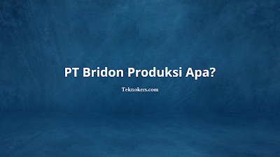 PT Bridon Produksi Apa?