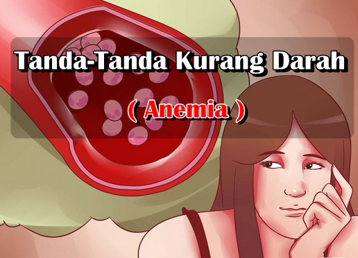 Tanda Tanda dan Gejala Anemia Kurang Darah Cara 