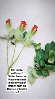 DiY: Wie bleiben Blumen länger frisch? - www.annitschkasblog.de
