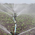  DRIP IRRIGATION WILL CHANGE THE  FACE OF AGRICULTURE