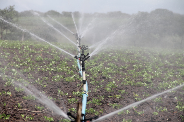 DRIP IRRIGATION WILL CHANGE THE  FACE OF AGRICULTURE