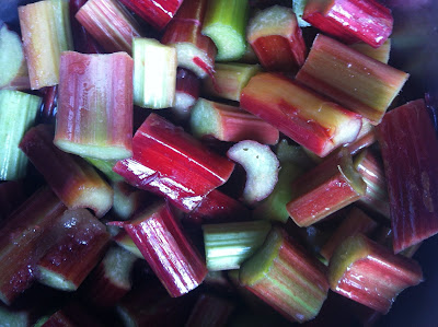 elderflower, rhubarb, compote, recipes, seasonal cooking, summer fruit, 