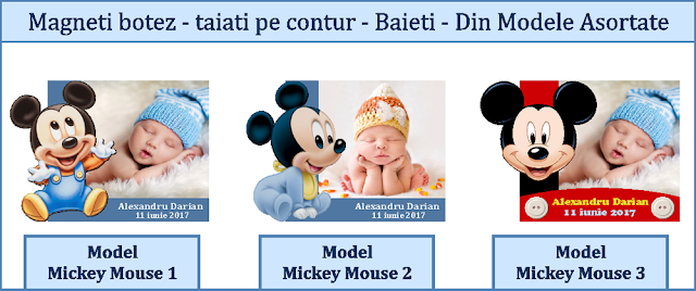 magnet botez disney