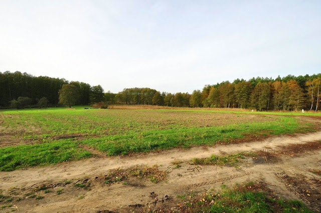 pole, na którym znajdowało się średniowieczne miasto Dzwonowo