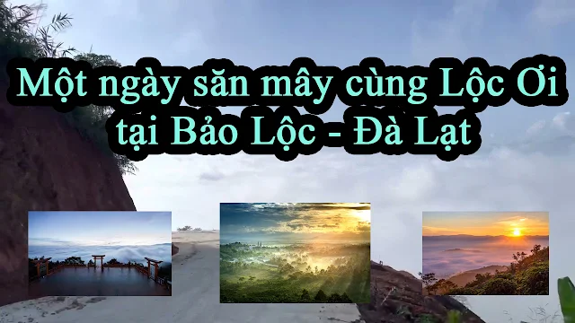 Săn mây núi Đại Bình - Lộc Thành - Bảo Lâm - lâm Đồng.