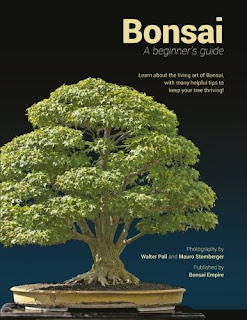 Bonsai A Beginners Guide