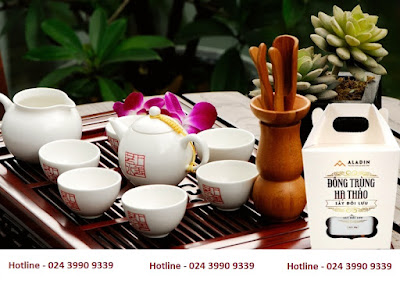 Đông trùng hạ thảo sấy đối lưu KIDA 12g - hotline 024 3990 9339