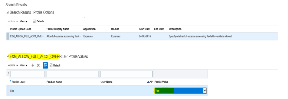 How to Setup Expense Profile Values in Expense Oracle Fusion