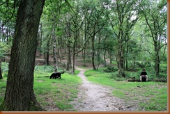 Kyra en Anneke in natuurgebied Wolfheze
