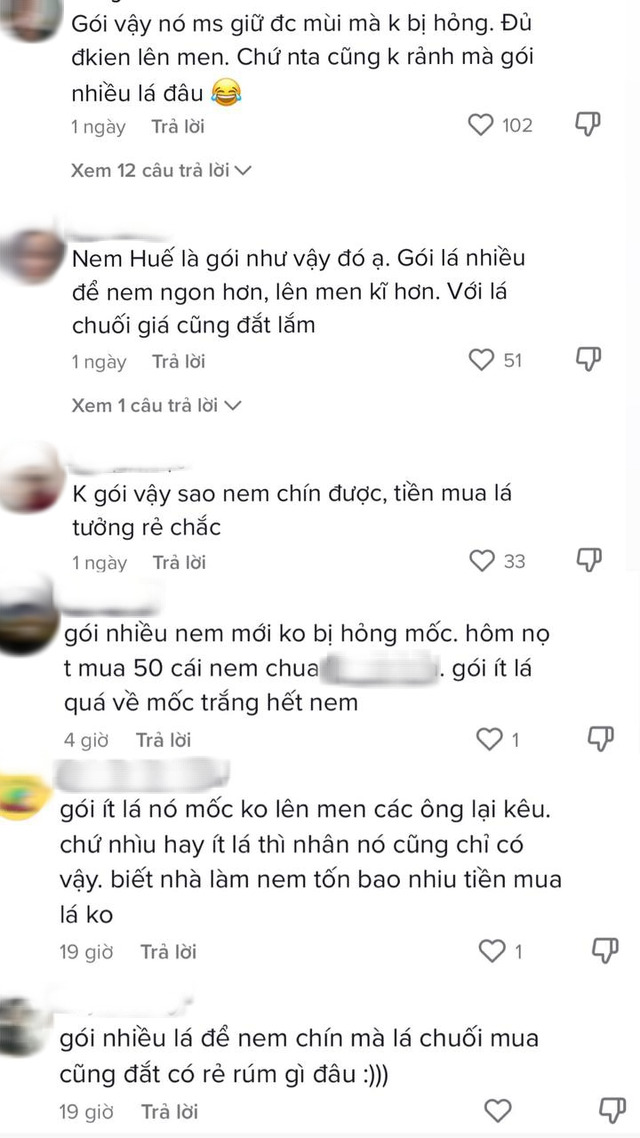 Món nem chua bị chê ‘9 nghìn lá 1 nghìn nem’: Dân mạng lập tức lên tiếng giải oan - Ảnh 7.