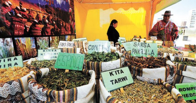 medicina tradicional en Bolivia