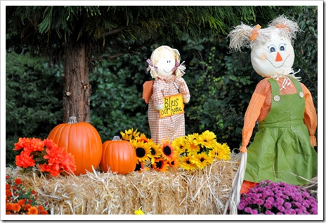 Emily Scarecrow