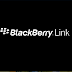 Download Blackberry Link
