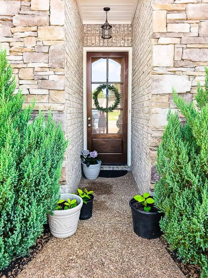 wreath on front door, plants, pots of hydrangea