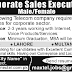 Corporate Sales Executives In a Telecom Company / Pakistan