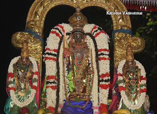 Aamavasai,Ippasi,Purappadu,Thiruvallikeni,Sri Parthasarathy Perumal,Manavala Maamunigal,Varavaramuni, Temple, 2017, Video, Divya Prabhandam,Utsavam,