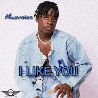 Macvoice – I Like You (2022)