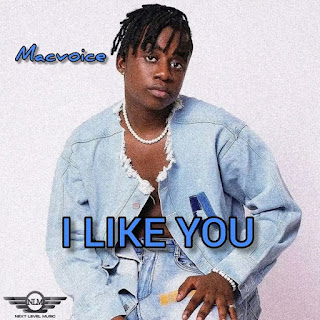 (DAnce) I Like You - Macvoice (2022)