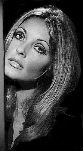 Sharon Marie Tate 19431969 Posted by Lily Lemontree at 801 AM