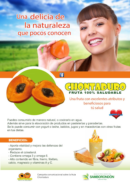 Afiche de Campaña Chontaduro