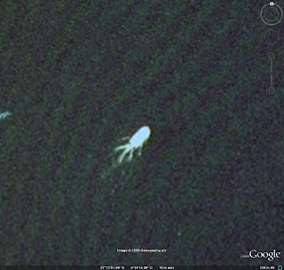 mostro-lochness-google-earth