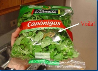 save frog ensalada