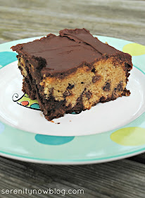 Chocolate Chip Cookie Dough Brownies, from Serenity Now