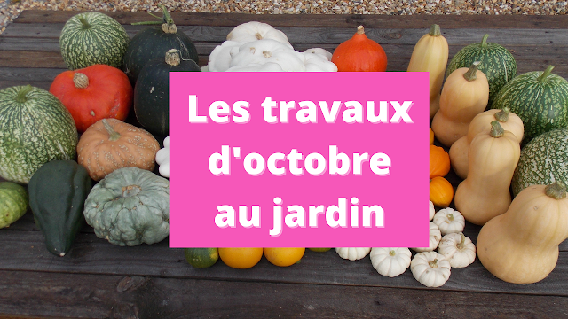 Les travaux d'octobre au jardin en permaculture (vidéo)